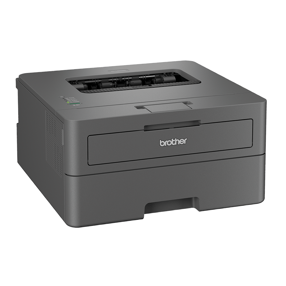 Принтер Brother HL-L2402D
