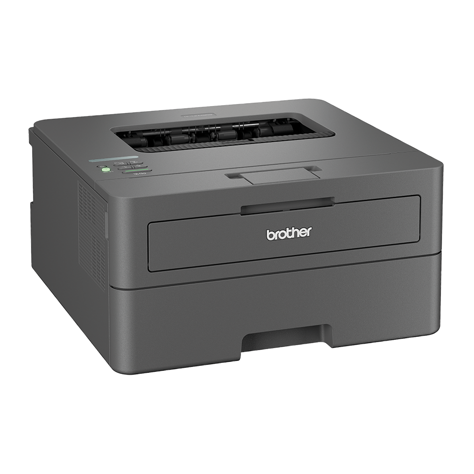Принтер Brother HL-L2442DW